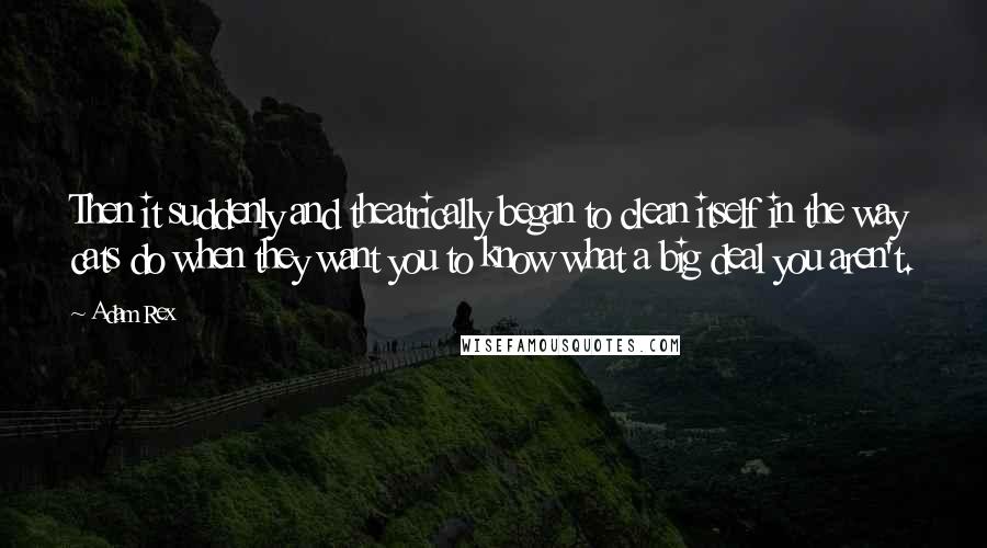 Adam Rex Quotes: Then it suddenly and theatrically began to clean itself in the way cats do when they want you to know what a big deal you aren't.