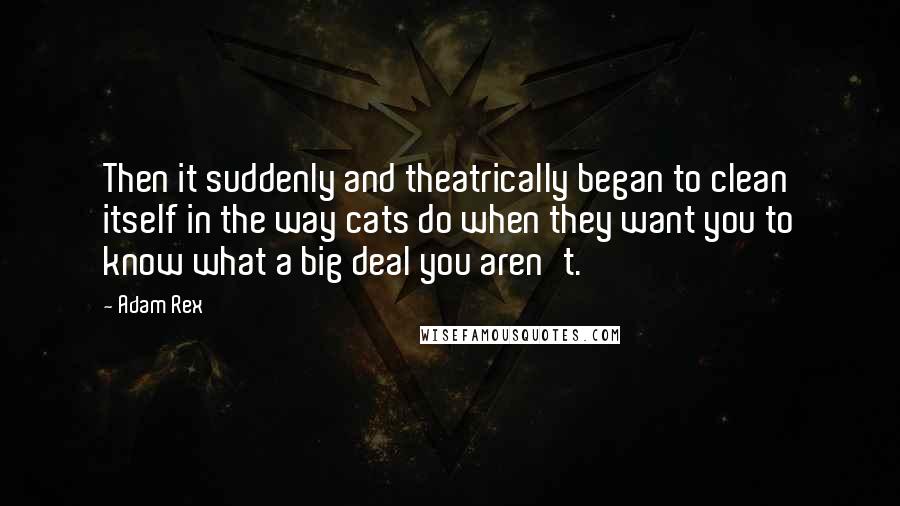 Adam Rex Quotes: Then it suddenly and theatrically began to clean itself in the way cats do when they want you to know what a big deal you aren't.