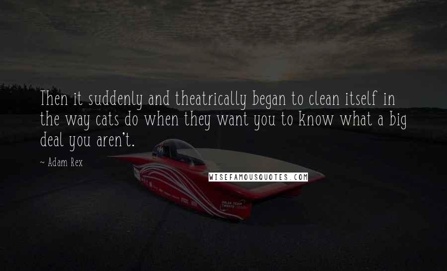 Adam Rex Quotes: Then it suddenly and theatrically began to clean itself in the way cats do when they want you to know what a big deal you aren't.