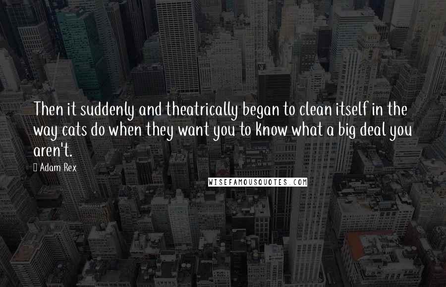 Adam Rex Quotes: Then it suddenly and theatrically began to clean itself in the way cats do when they want you to know what a big deal you aren't.