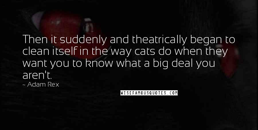 Adam Rex Quotes: Then it suddenly and theatrically began to clean itself in the way cats do when they want you to know what a big deal you aren't.