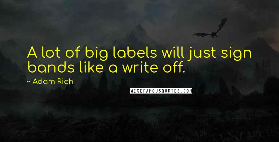 Adam Rich Quotes: A lot of big labels will just sign bands like a write off.