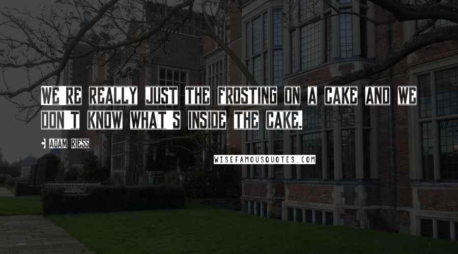 Adam Riess Quotes: We're really just the frosting on a cake and we don't know what's inside the cake.