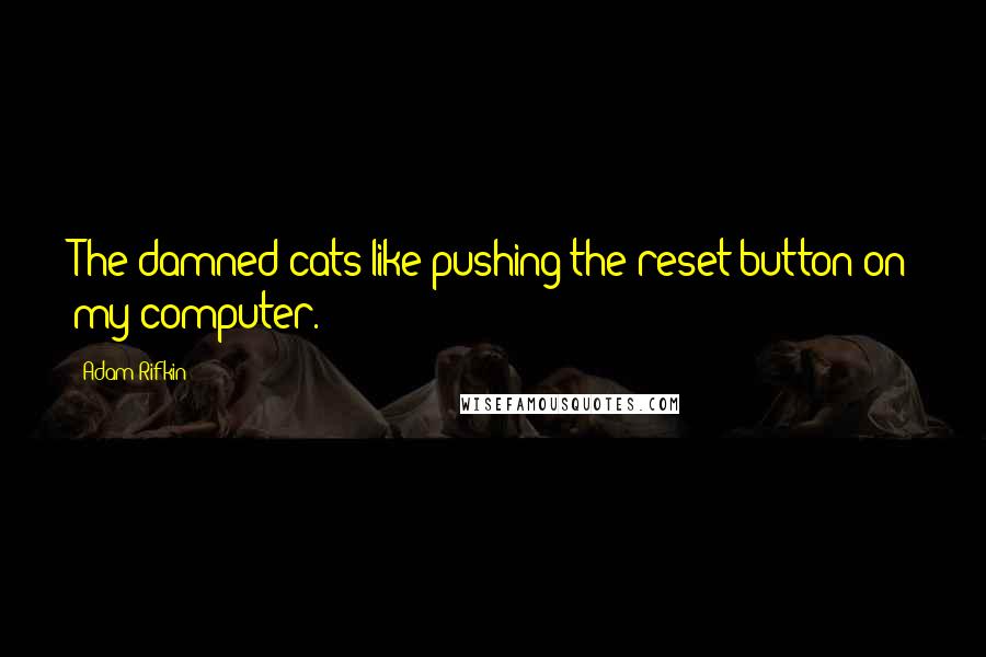 Adam Rifkin Quotes: The damned cats like pushing the reset button on my computer.