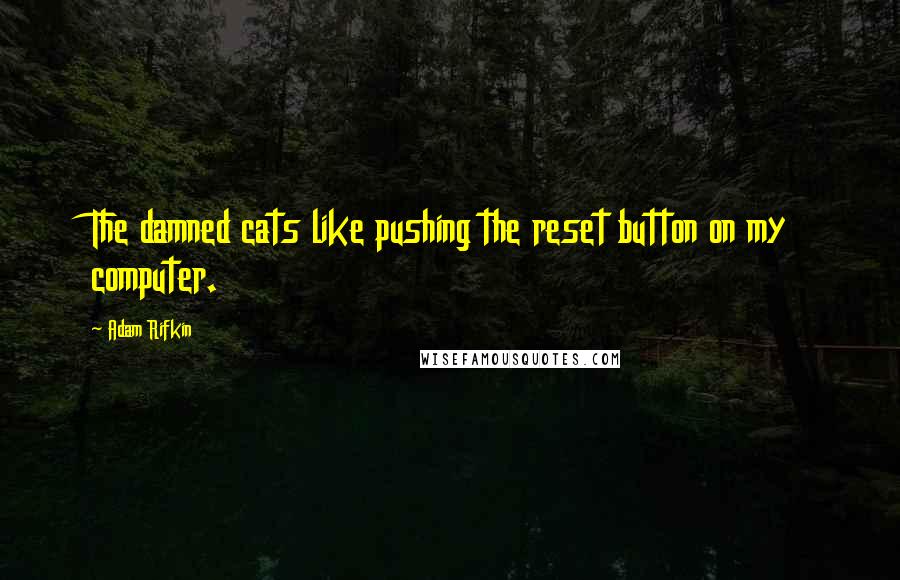 Adam Rifkin Quotes: The damned cats like pushing the reset button on my computer.