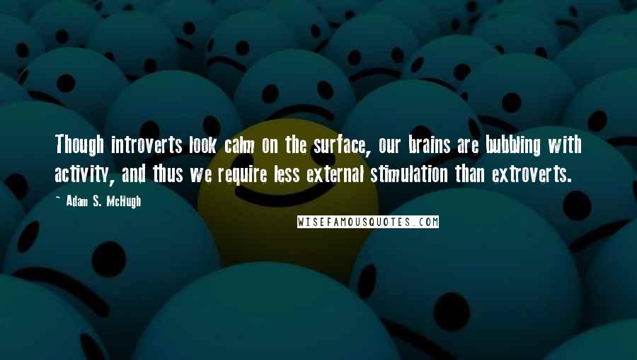 Adam S. McHugh Quotes: Though introverts look calm on the surface, our brains are bubbling with activity, and thus we require less external stimulation than extroverts.