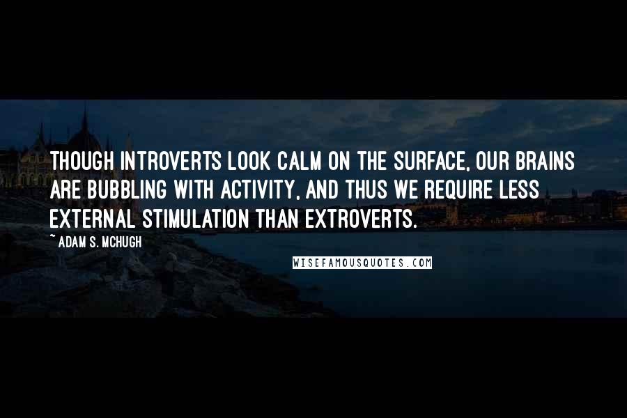 Adam S. McHugh Quotes: Though introverts look calm on the surface, our brains are bubbling with activity, and thus we require less external stimulation than extroverts.