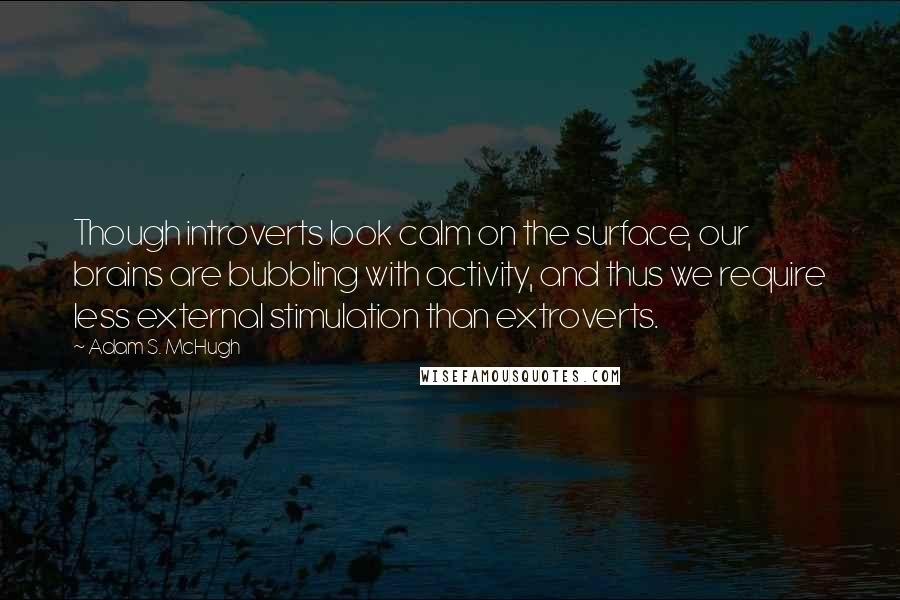 Adam S. McHugh Quotes: Though introverts look calm on the surface, our brains are bubbling with activity, and thus we require less external stimulation than extroverts.