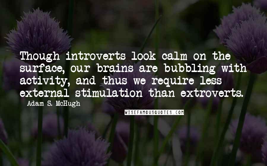 Adam S. McHugh Quotes: Though introverts look calm on the surface, our brains are bubbling with activity, and thus we require less external stimulation than extroverts.