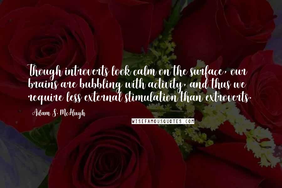 Adam S. McHugh Quotes: Though introverts look calm on the surface, our brains are bubbling with activity, and thus we require less external stimulation than extroverts.