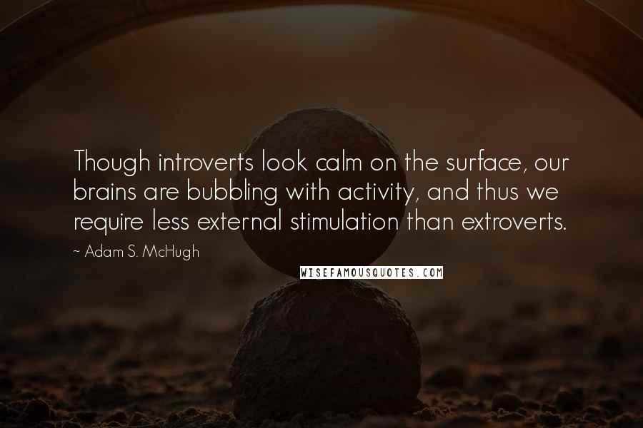 Adam S. McHugh Quotes: Though introverts look calm on the surface, our brains are bubbling with activity, and thus we require less external stimulation than extroverts.