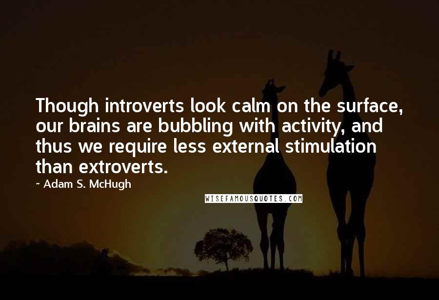 Adam S. McHugh Quotes: Though introverts look calm on the surface, our brains are bubbling with activity, and thus we require less external stimulation than extroverts.