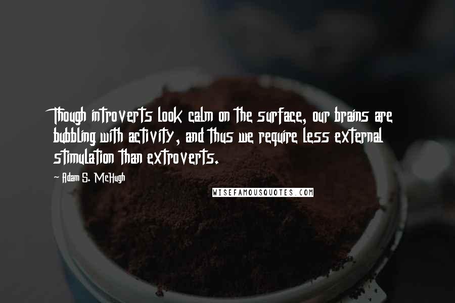 Adam S. McHugh Quotes: Though introverts look calm on the surface, our brains are bubbling with activity, and thus we require less external stimulation than extroverts.