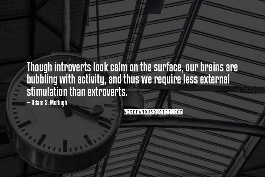 Adam S. McHugh Quotes: Though introverts look calm on the surface, our brains are bubbling with activity, and thus we require less external stimulation than extroverts.