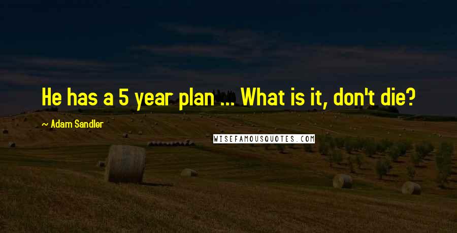 Adam Sandler Quotes: He has a 5 year plan ... What is it, don't die?