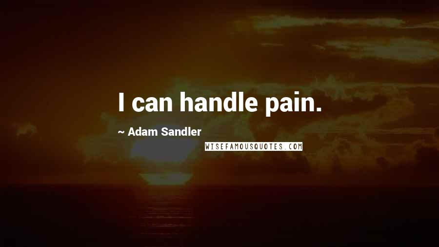 Adam Sandler Quotes: I can handle pain.