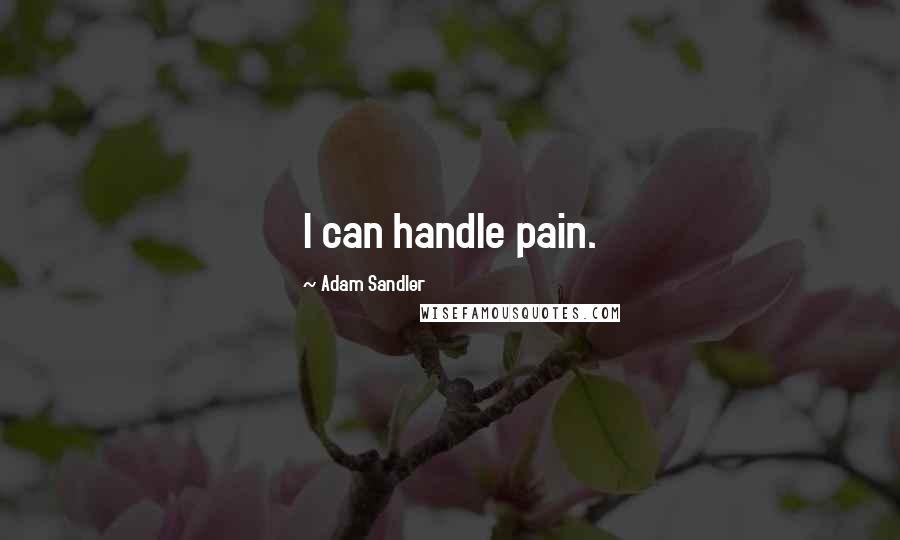 Adam Sandler Quotes: I can handle pain.