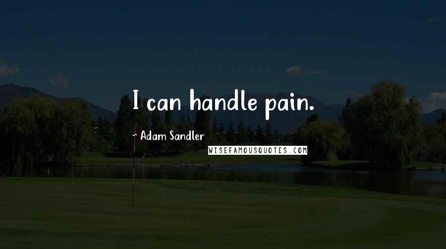 Adam Sandler Quotes: I can handle pain.