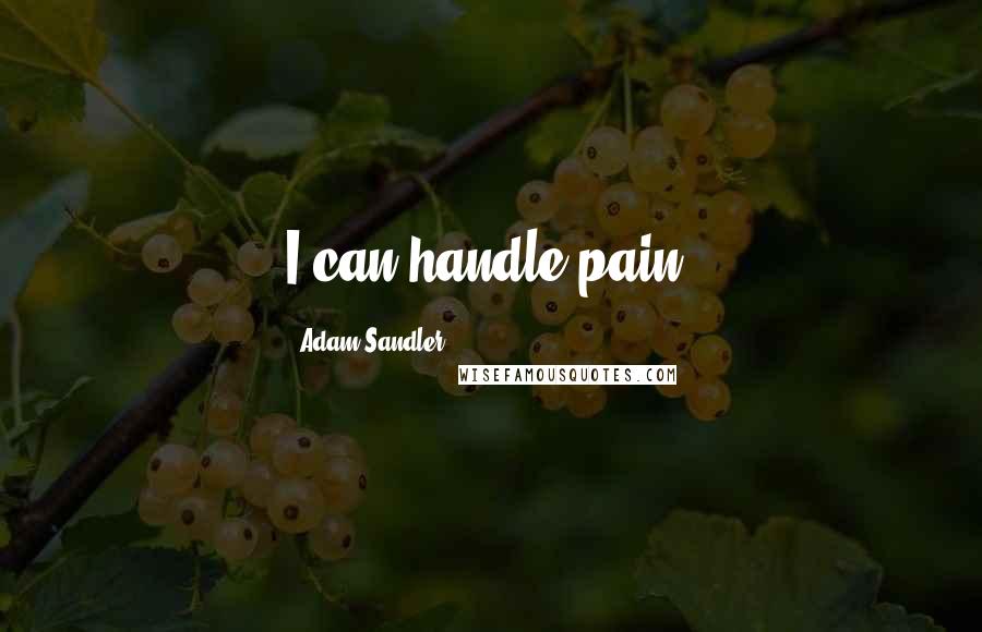 Adam Sandler Quotes: I can handle pain.