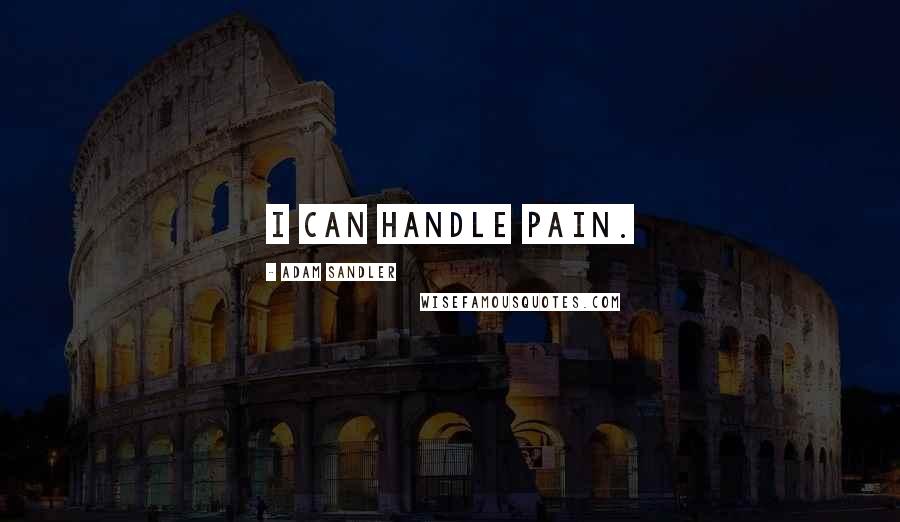 Adam Sandler Quotes: I can handle pain.