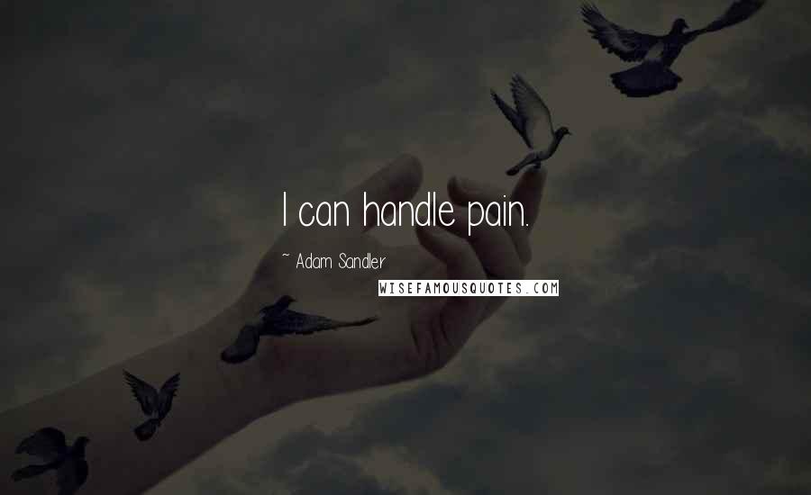 Adam Sandler Quotes: I can handle pain.