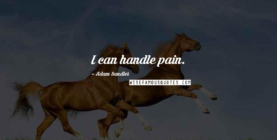 Adam Sandler Quotes: I can handle pain.