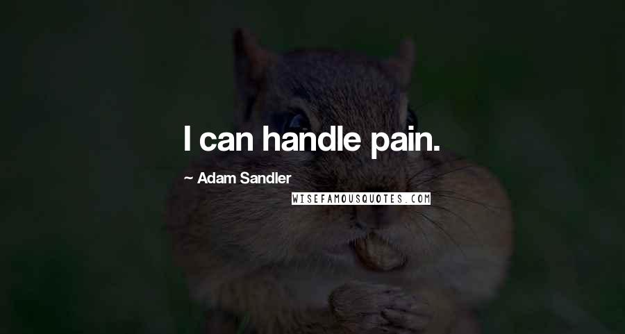 Adam Sandler Quotes: I can handle pain.