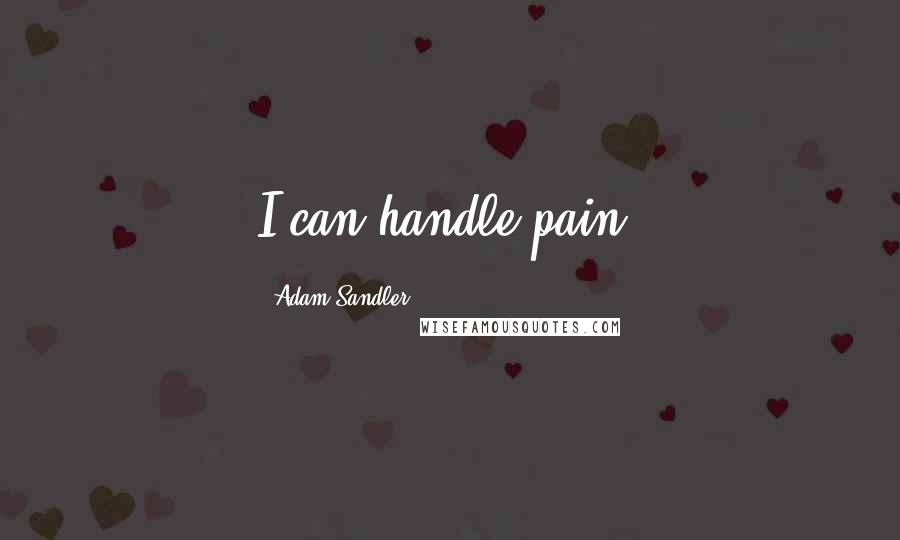 Adam Sandler Quotes: I can handle pain.