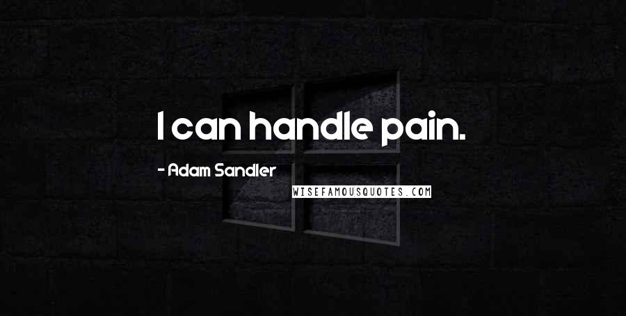 Adam Sandler Quotes: I can handle pain.