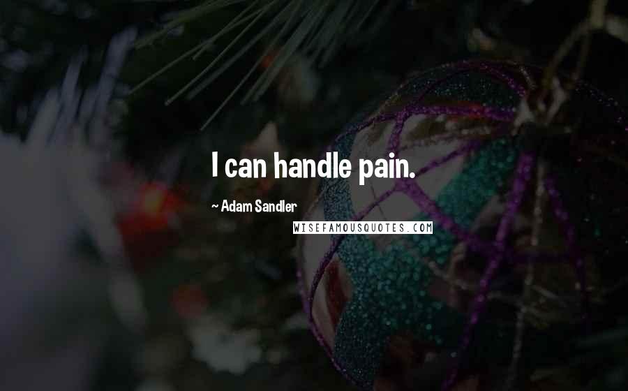 Adam Sandler Quotes: I can handle pain.