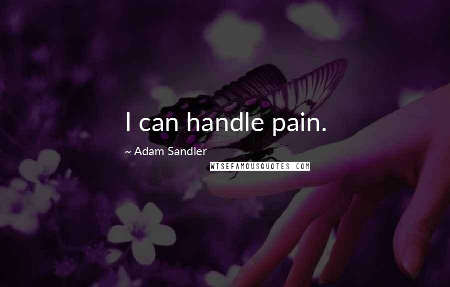 Adam Sandler Quotes: I can handle pain.