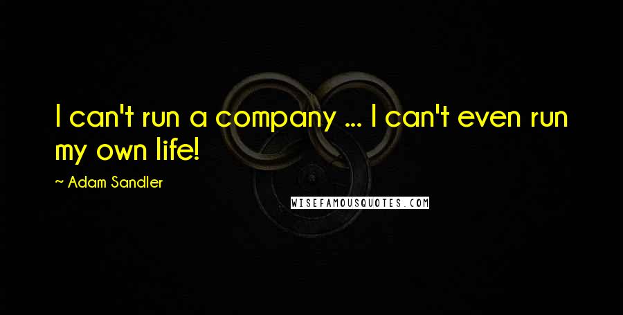 Adam Sandler Quotes: I can't run a company ... I can't even run my own life!