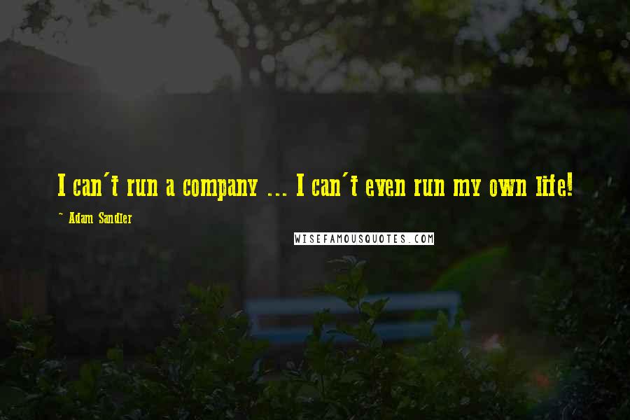 Adam Sandler Quotes: I can't run a company ... I can't even run my own life!