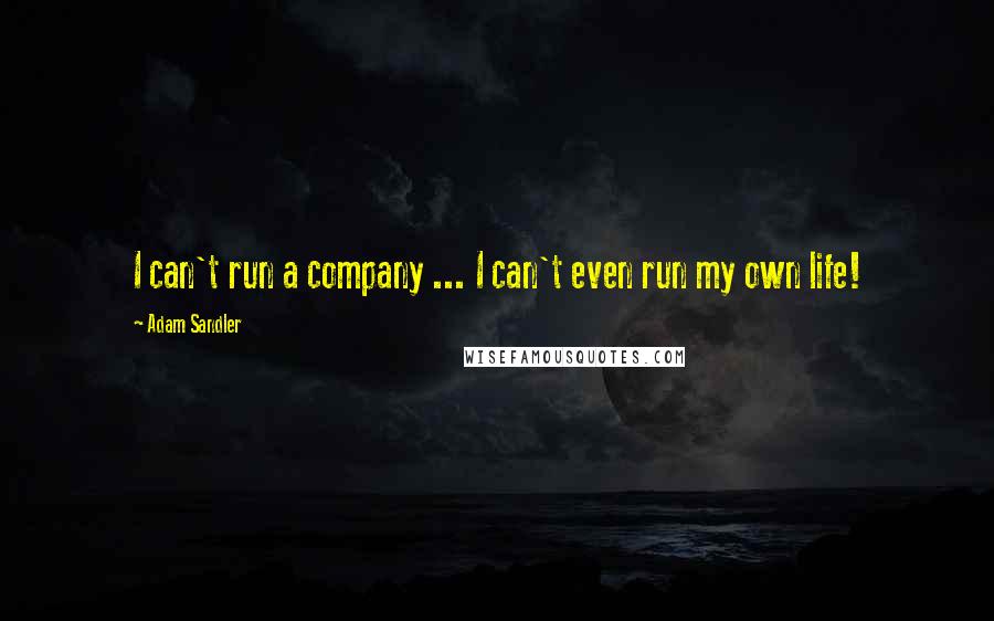 Adam Sandler Quotes: I can't run a company ... I can't even run my own life!