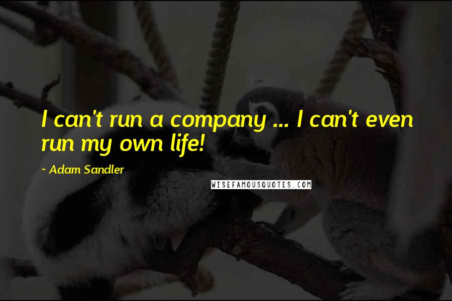 Adam Sandler Quotes: I can't run a company ... I can't even run my own life!