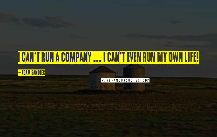 Adam Sandler Quotes: I can't run a company ... I can't even run my own life!