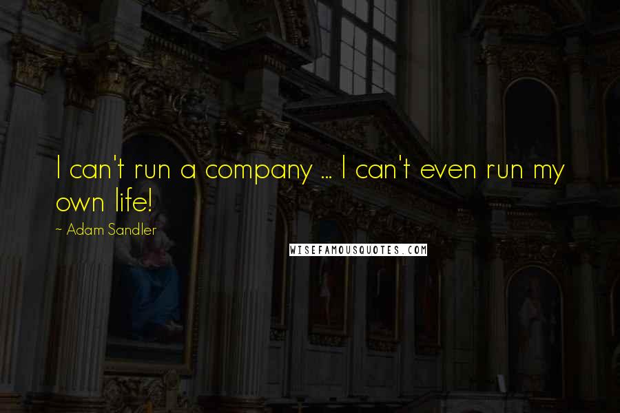 Adam Sandler Quotes: I can't run a company ... I can't even run my own life!
