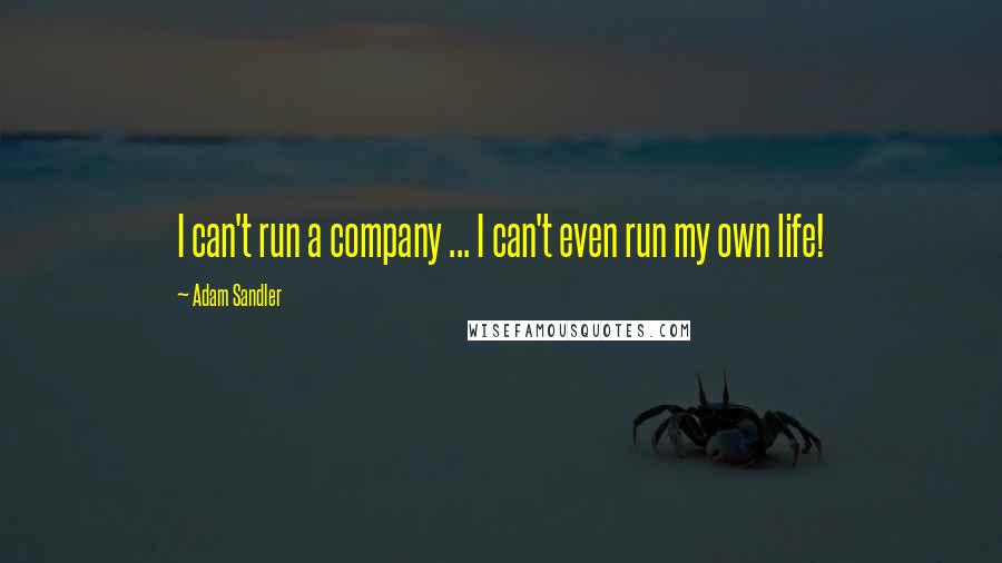 Adam Sandler Quotes: I can't run a company ... I can't even run my own life!