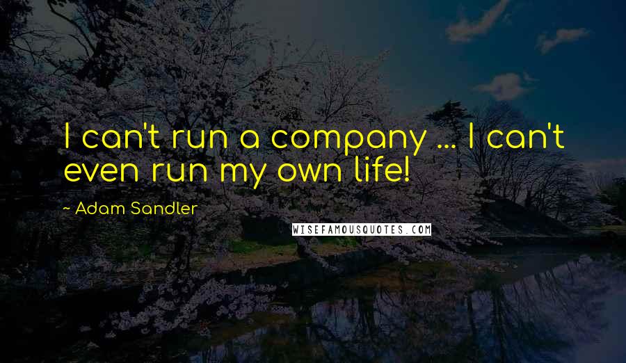 Adam Sandler Quotes: I can't run a company ... I can't even run my own life!