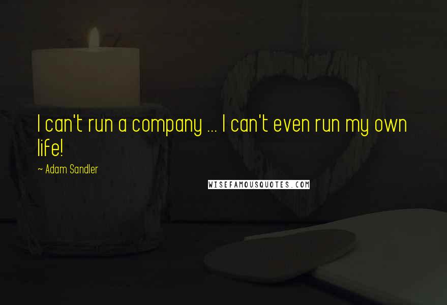 Adam Sandler Quotes: I can't run a company ... I can't even run my own life!