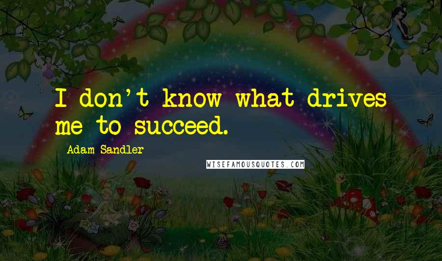 Adam Sandler Quotes: I don't know what drives me to succeed.