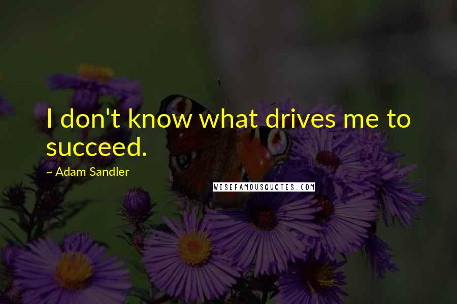 Adam Sandler Quotes: I don't know what drives me to succeed.