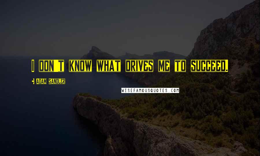 Adam Sandler Quotes: I don't know what drives me to succeed.