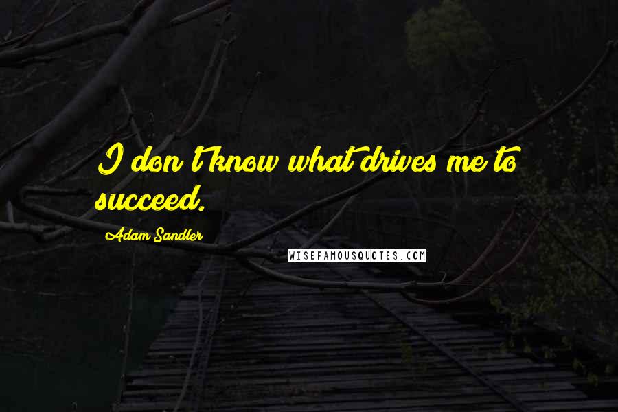 Adam Sandler Quotes: I don't know what drives me to succeed.