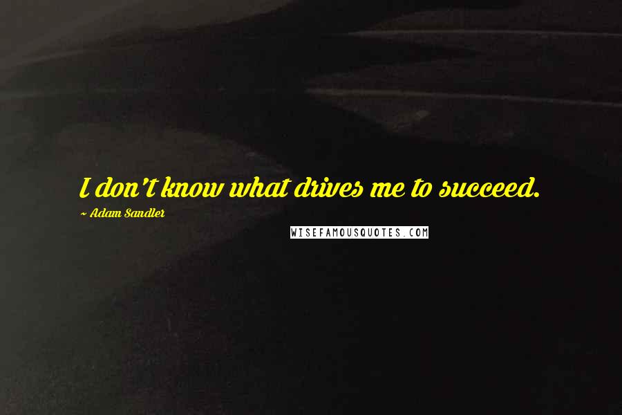 Adam Sandler Quotes: I don't know what drives me to succeed.