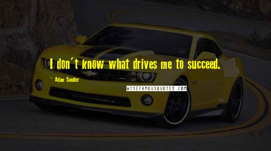 Adam Sandler Quotes: I don't know what drives me to succeed.