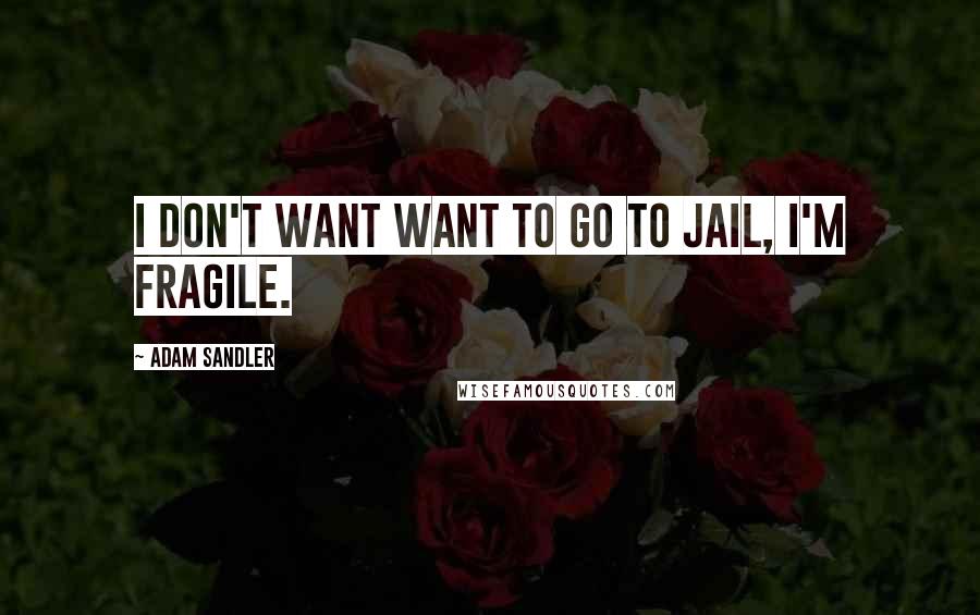 Adam Sandler Quotes: I don't want want to go to jail, I'm fragile.