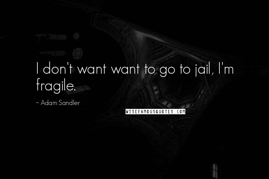 Adam Sandler Quotes: I don't want want to go to jail, I'm fragile.