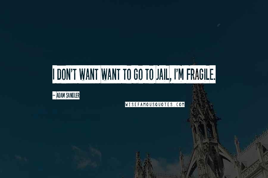 Adam Sandler Quotes: I don't want want to go to jail, I'm fragile.
