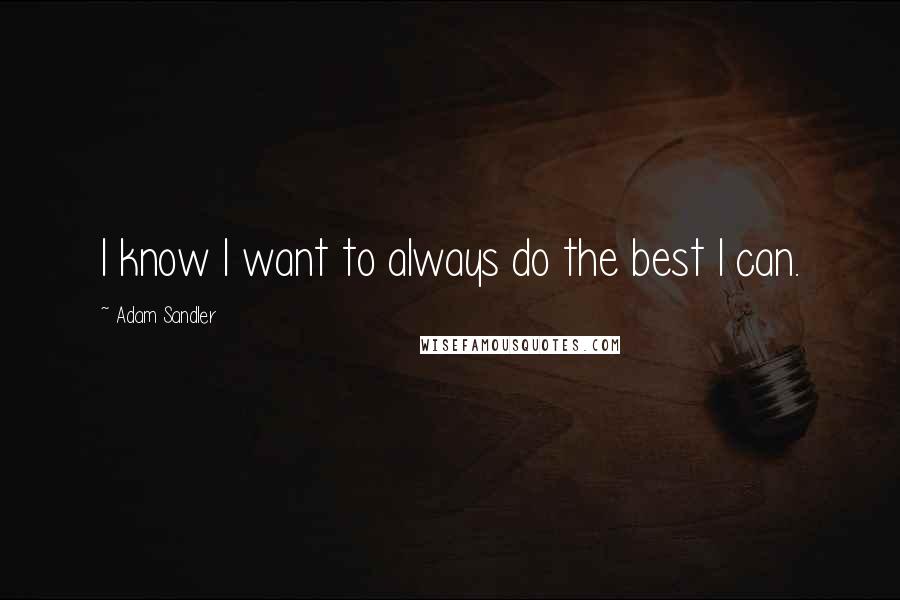 Adam Sandler Quotes: I know I want to always do the best I can.
